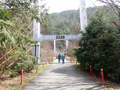 台中和平]~武陵農場賞櫻一日遊@ 天才阿呆小玩家:: 痞客邦::