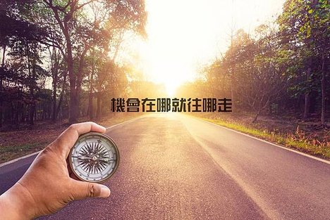 機會在哪就往哪走.jpg