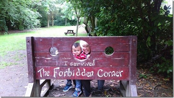 Forbidden Corner Aug2015 4