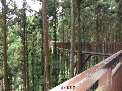 空中走廊2.JPG