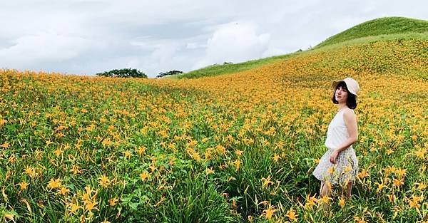 花蓮富里-六十石山金針花季-金針花海6