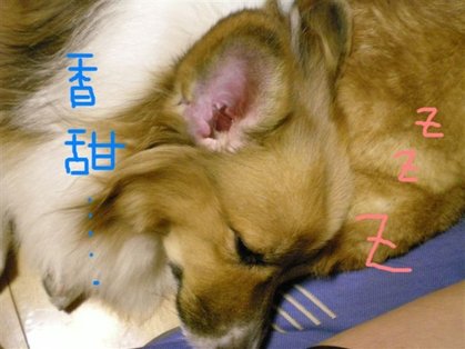 DSCN0903.JPG