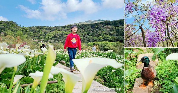 竹子湖 苗榜海芋園花園餐廳.jpg