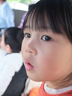1DSCF7806