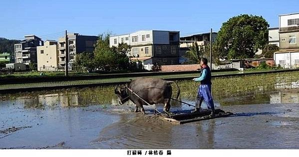 打「碌碡」出現很早，在唐代陸龜蒙《耒耜經》已有記載-客家話「