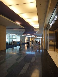 DSC00409.jpg
