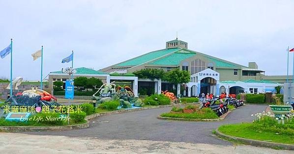 澎湖水族館, 澎湖全新開幕室內親子景點,澎湖 海底隧道, 澎湖 海龜