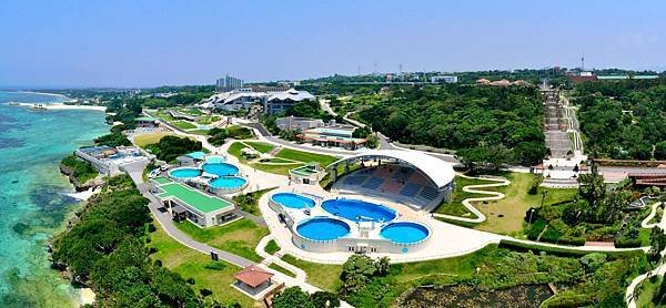 沖縄美ら海水族館.jpeg