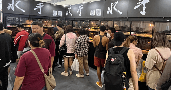 新竹首次規劃異世界體驗專區，消費者可與罕見兩棲爬蟲近距離互動。