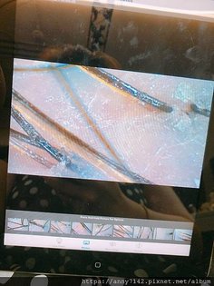 IMG_1343.JPG