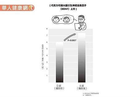 吃對巧克力好處多！可活化腦部運作、預防失智2.jpg