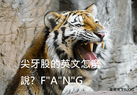 尖牙股的英文怎麼說? FANG