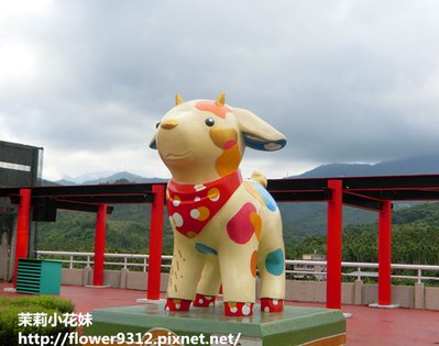 CIMG0215.JPG