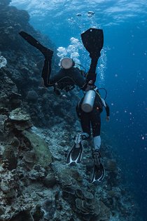 20190717_HOUSEREEF-18.jpg