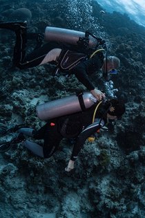 20190717_HOUSEREEF-21.jpg