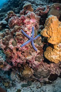 20190717_HOUSEREEF-16.jpg