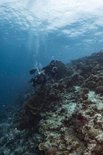 20190717_HOUSEREEF-44.jpg