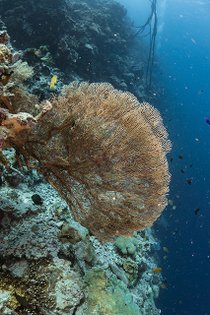 20190717_HOUSEREEF-57.jpg