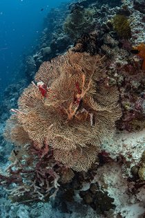 20190717_HOUSEREEF-64.jpg