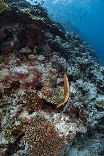 20190717_HOUSEREEF-7.jpg