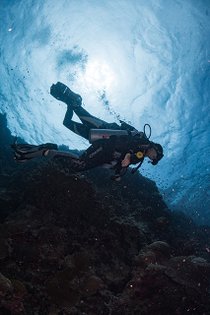 20190717_HOUSEREEF-9.jpg