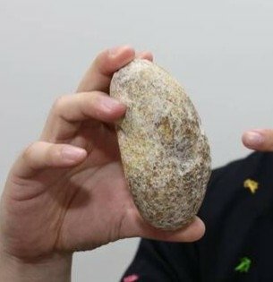 蘭嶼有民眾撿到一顆龍涎香重量約4公斤，拿去給人估價有600萬