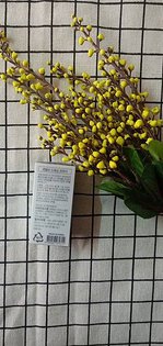 IMG_20200321_015203.jpg