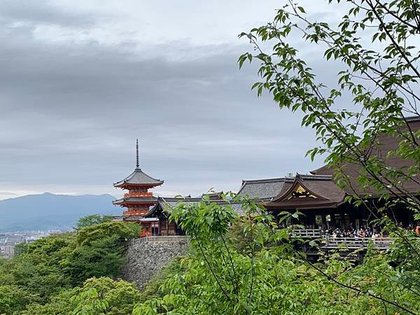 ［京都自駕遊］京都寺廟走斷腿之旅