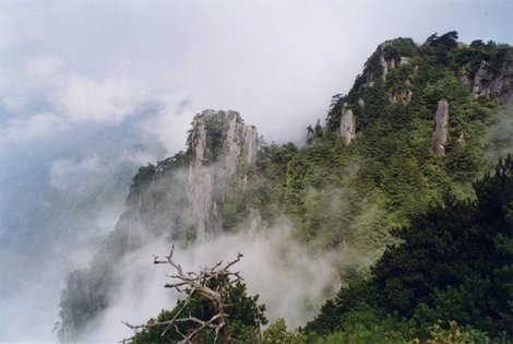 2006010515250330152.jpg