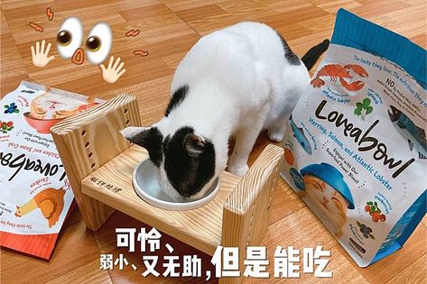 🐱 Petzoo 囍碗 寵物主食罐推薦🐶