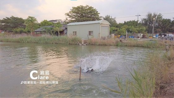 漁事體驗(餵龍膽石斑)-三股旅歷-七股鹹日子-台南七股三股社區旅遊景點推薦.2021臺南七股海鮮節2.jpg