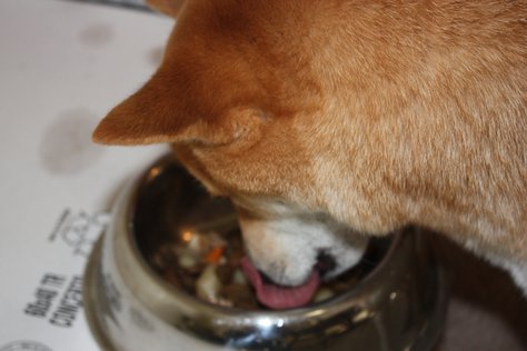 Food 029.jpg