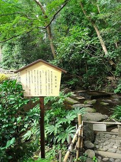 p152749407817.jpg