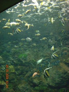 DSCN7439.JPG
