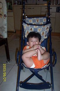 2003-06-19若淋廷宇新屋荷花 019.jpg