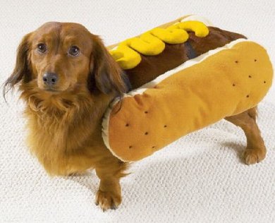 hot_dog_costume.jpg