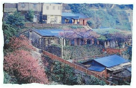 1993old house