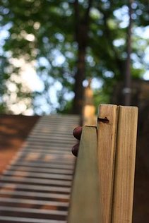 IMG_7934