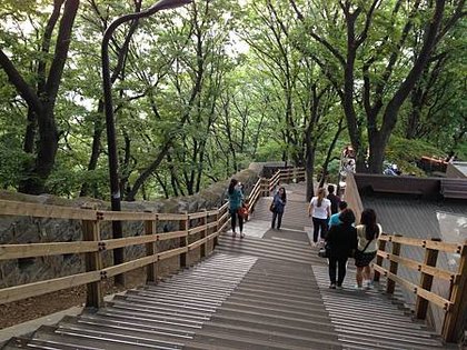 IMG_7465.JPG