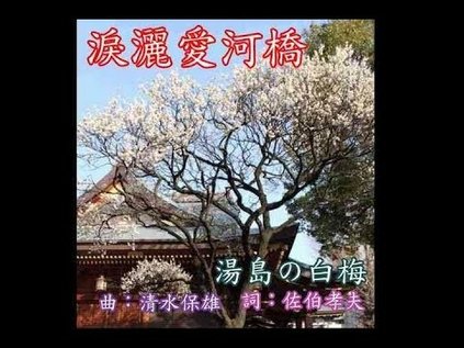 淚灑愛河橋 是湯島白梅 ? 還是股市泡湯 ?