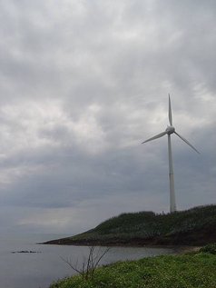 p127842295117.jpg