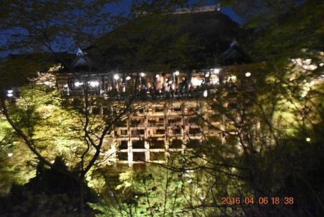 2016-04-06  京都清水寺夜櫻   240.JPG