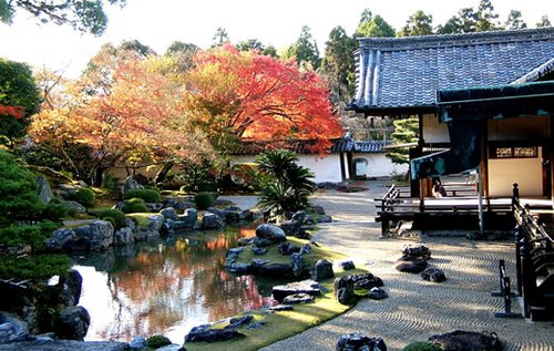 醍醐寺紅葉.jpg