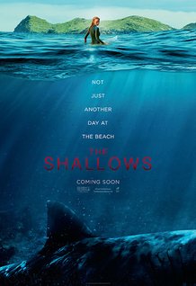 the shallows.jpg