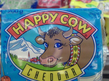 Happy cow.JPG