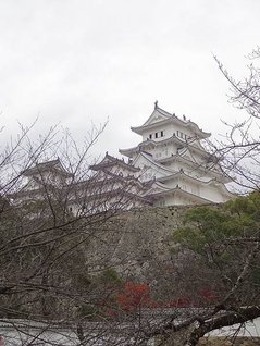 p145580799769.jpg
