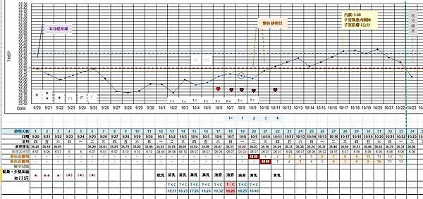 基礎體溫-武廟問事.JPG