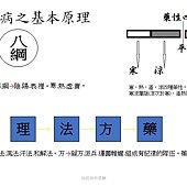 八綱辨證陰陽五行理法方藥.jpg