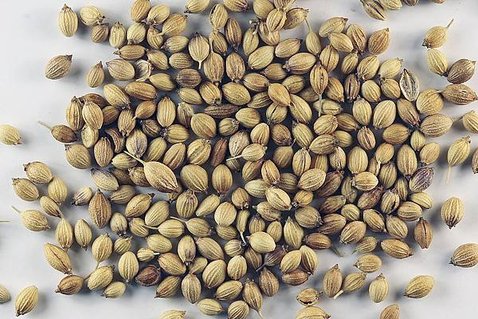 1024px-Sa-cilantro_seeds