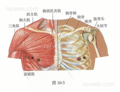 天池穴.jpg